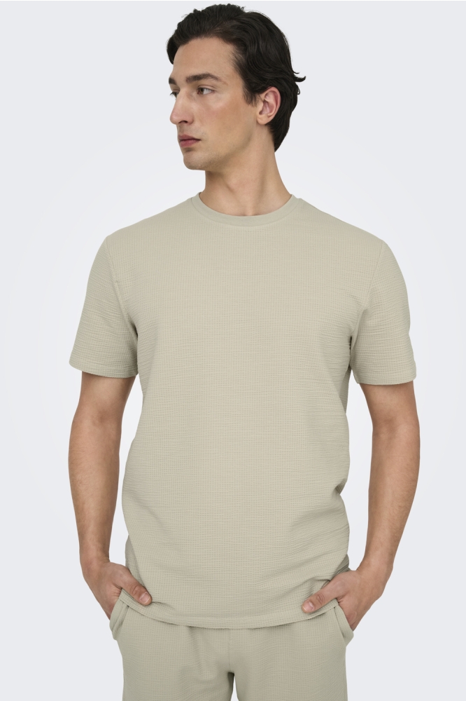 ONSKIAN LIFE REG SEERSUCKER SS TEE 22028692 SILVER LINING